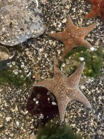 IMG_8188.JPEG