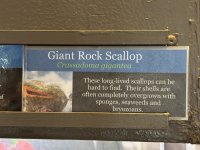 IMG_8195.JPEG