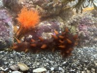 IMG_8197.JPEG