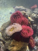IMG_8201.JPEG