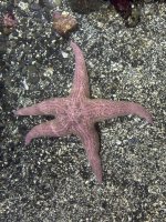 IMG_8203.JPEG
