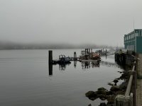 IMG_8213.JPEG