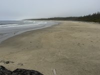 IMG_8216.JPEG