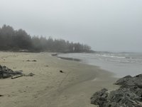 IMG_8221.JPEG