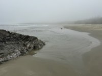 IMG_8222.JPEG