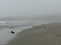 IMG_8225.JPEG