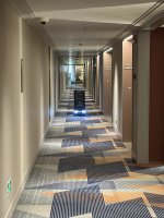 IMG_4367.jpeg