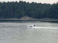 IMG_8256.JPEG