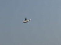 IMG_8269.JPEG