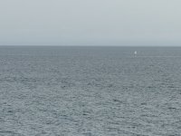 IMG_8279.JPEG