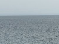 IMG_8280.JPEG