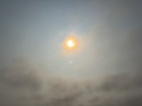 IMG_8284.JPEG
