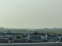 IMG_8306.JPEG