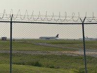 IMG_8311.JPEG