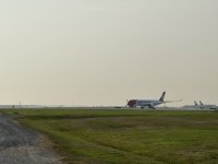 IMG_8314.JPEG