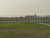 IMG_8329.JPEG