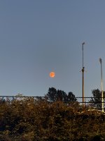 IMG_8358.JPEG