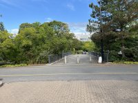 IMG_2458.JPG