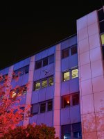 IMG_5032.jpeg