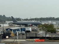 IMG_8467.JPEG