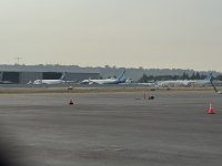 IMG_8492.JPEG