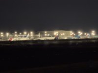 IMG_8538.JPEG