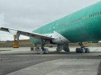 IMG_8589.JPEG