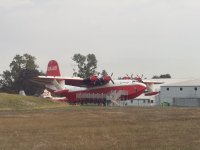 IMG_8649.JPEG