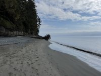 IMG_8747.JPEG