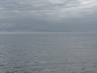 IMG_8751.JPEG