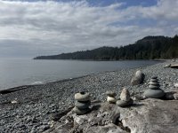IMG_8770.JPEG