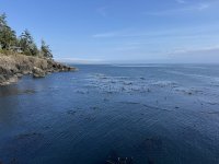 IMG_8783.JPEG