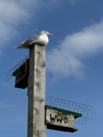 IMG_8800.JPEG