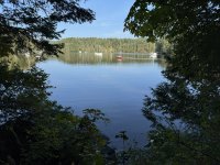 IMG_8810.JPEG