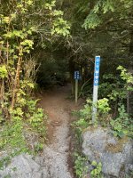 IMG_8821.JPEG