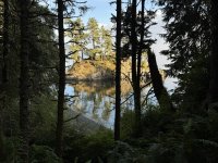 IMG_8823.JPEG
