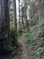IMG_8824.JPEG