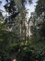 IMG_8826.JPEG