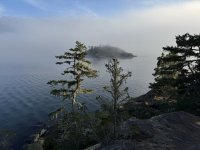 IMG_8842.JPEG