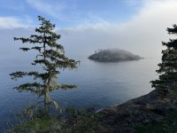 IMG_8845.JPEG