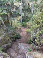 IMG_8852.JPEG