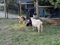 IMG_8868.JPEG