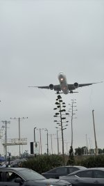 IMG_E7869.JPG