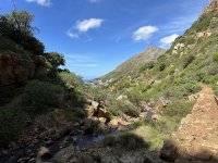 IMG_5771.jpeg