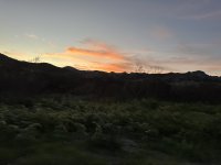 IMG_5876.jpeg