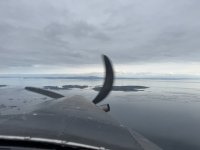 IMG_8906.JPEG