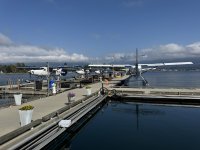 IMG_8977.JPEG
