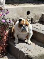 IMG_20250606_115442.jpg IMG_20250606_115442.jpg