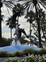 IMG_8188.JPG IMG_8188.JPG