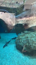 IMG_8196.JPG IMG_8196.JPG